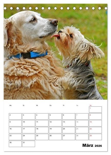 Produktbild: Hunde Freunde (Tischkalender 2026 DIN A5 hoch), CALVENDO Monatskalender