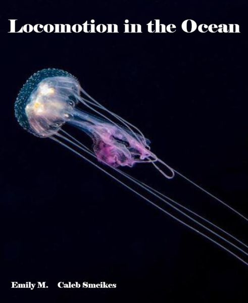 Produktbild: Locomotion in the Ocean