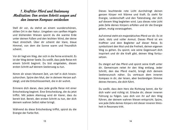 Produktbild: 52 Seelenweg und Krafttier Meditationen