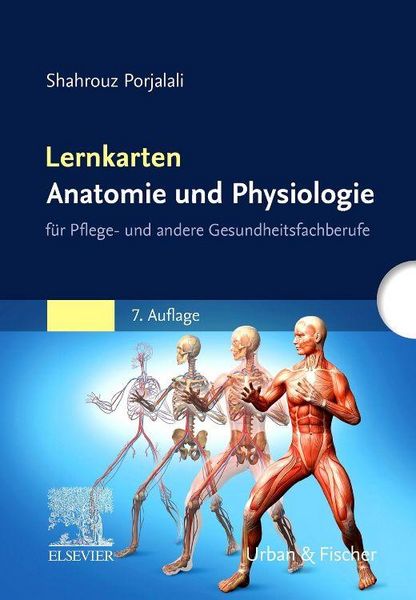 Produktbild: Lernkarten Anatomie und Physiologie