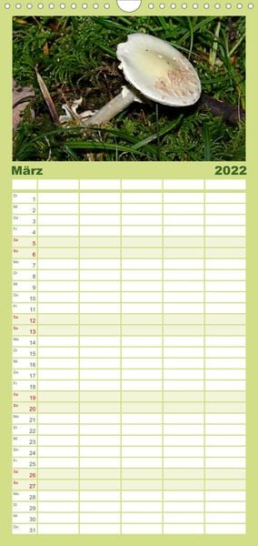 Produktbild: Familienplaner Pilze, Pilze (Wandkalender 2022 , 21 cm x 45 cm, hoch)