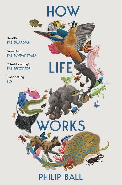 Produktbild: How Life Works