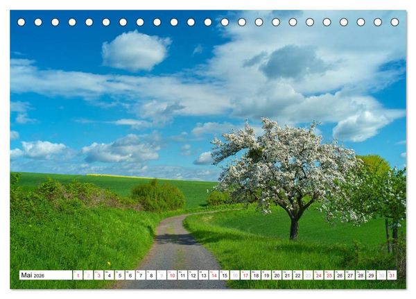 Produktbild: Traumhafte Wege durch die Eifel (Tischkalender 2026 DIN A5 quer), CALVENDO Monatskalender