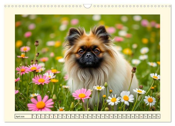 Produktbild: Winzlinge der Hundewelt (Wandkalender 2026 DIN A3 quer), CALVENDO Monatskalender