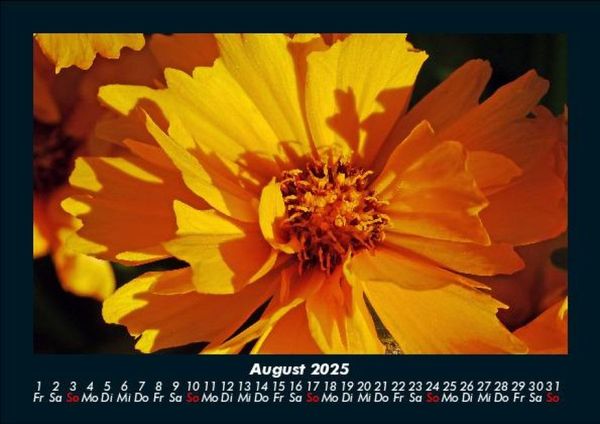 Produktbild: Blumenzauber 2025 Fotokalender DIN A5