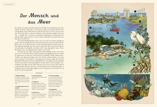 Produktbild: Das Museum des Meeres