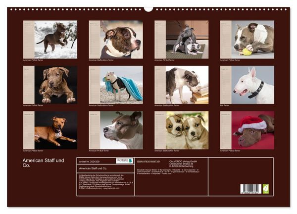Produktbild: American Staff und Co. (Wandkalender 2026 DIN A2 quer), CALVENDO Monatskalender