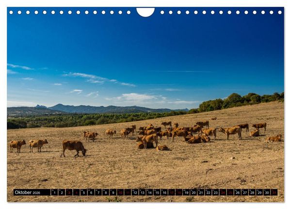 Produktbild: Wildes Sardinien 2026 (Wandkalender 2026 DIN A4 quer), CALVENDO Monatskalender