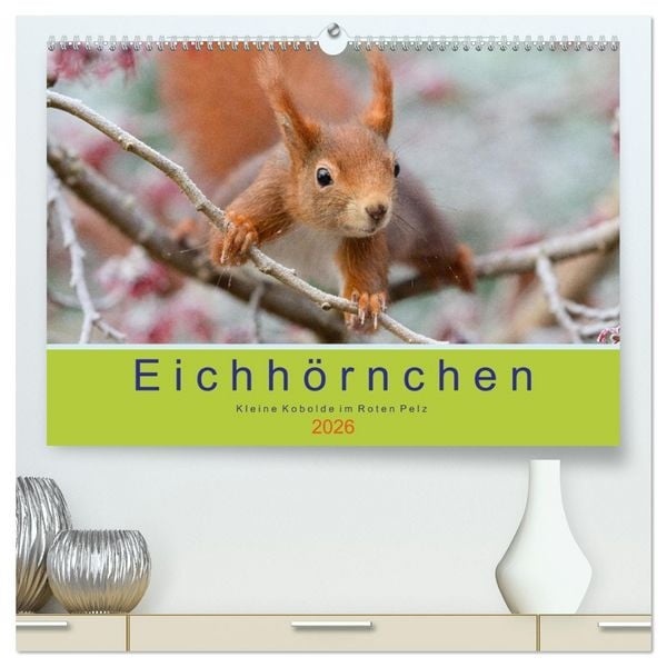 Produktbild: Eichh&ouml;rnchen - Kleine Kobolde im Roten Pelz (hochwertiger Premium Wandkalender 2026 DIN A2 quer), Kunstdruck in Hochglanz