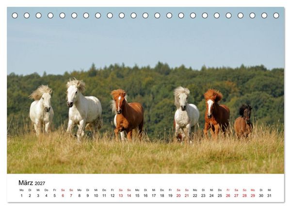 Produktbild: Islandpferde - Hufschlag aus Feuer und Eis (Tischkalender 2027 DIN A5 quer), CALVENDO Monatskalender