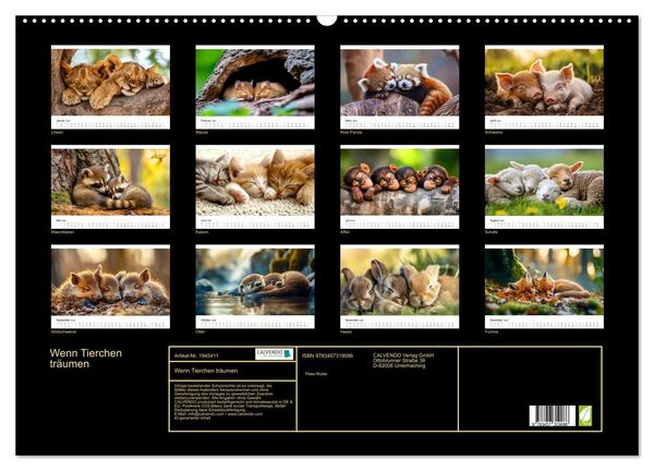 Produktbild: Wenn Tierchen tr&auml;umen (Wandkalender 2026 DIN A2 quer), CALVENDO Monatskalender