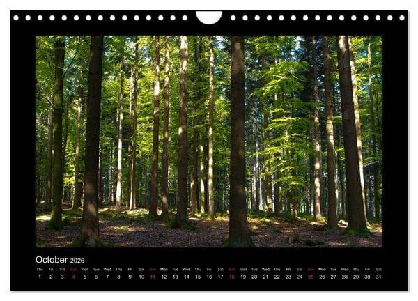 Produktbild: The Black Forest - UK Version (Wall Calendar 2026 DIN A4 landscape), CALVENDO 12 Month Wall Calendar