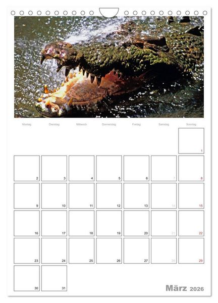 Produktbild: Australien - Terminplaner (Wandkalender 2026 DIN A4 hoch), CALVENDO Monatskalender