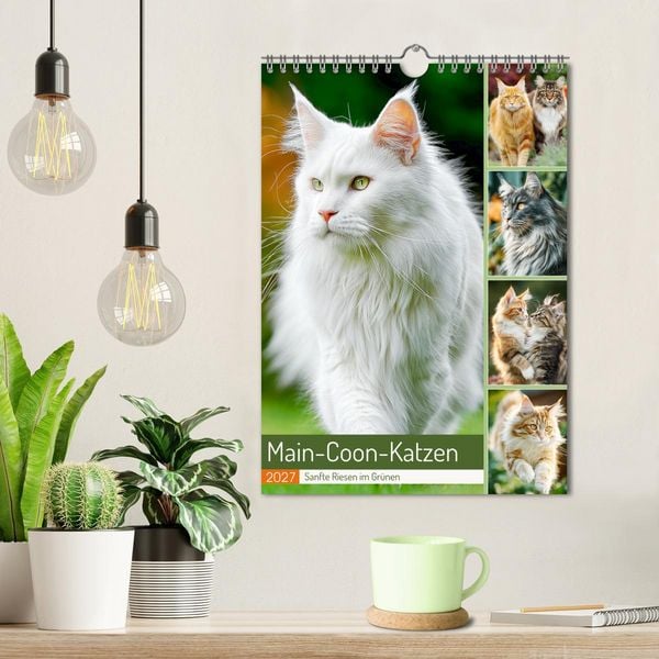 Produktbild: Main-Coon-Katzen. Sanfte Riesen im Gr&uuml;nen (Wandkalender 2027 DIN A4 hoch), CALVENDO Monatskalender