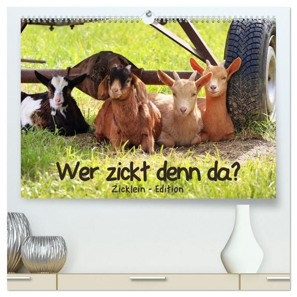 Wer zickt denn da? - Zicklein-Edition (hochwertiger Premium Wandkalender 2026 DIN A2 quer), Kunstdruck in Hochglanz