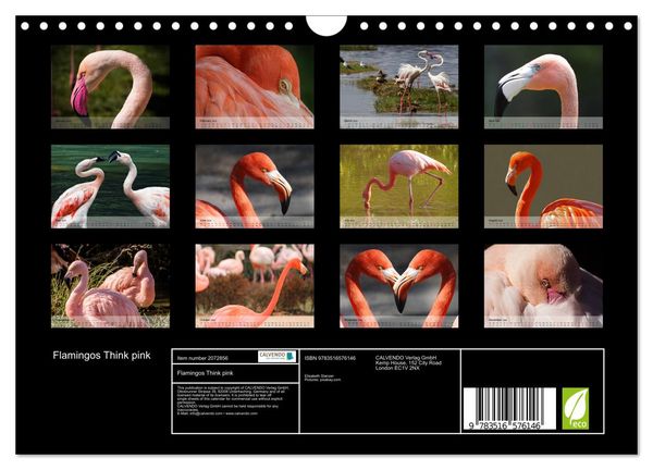 Produktbild: Flamingos Think pink (Wall Calendar 2026 DIN A4 landscape), CALVENDO 12 Month Wall Calendar