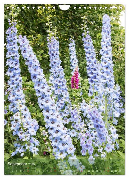 Produktbild: Ferien im Garten (Wandkalender 2026 DIN A4 hoch), CALVENDO Monatskalender