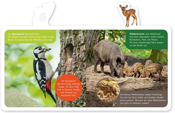 Produktbild: Tiere im Wald
