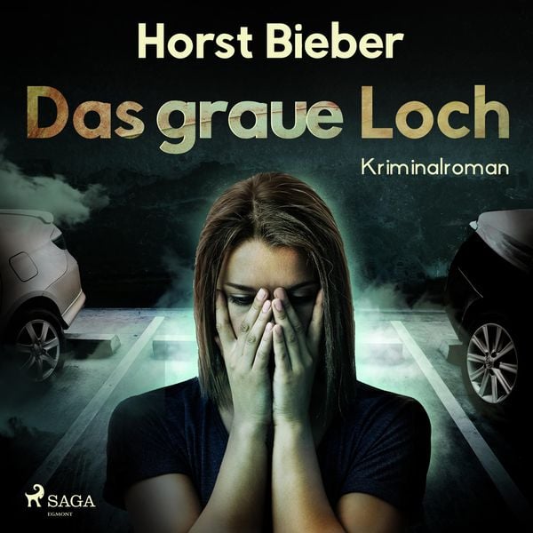 Das graue Loch (Ungekürzt) - Horst Bieber, Audio, 9788726029178
