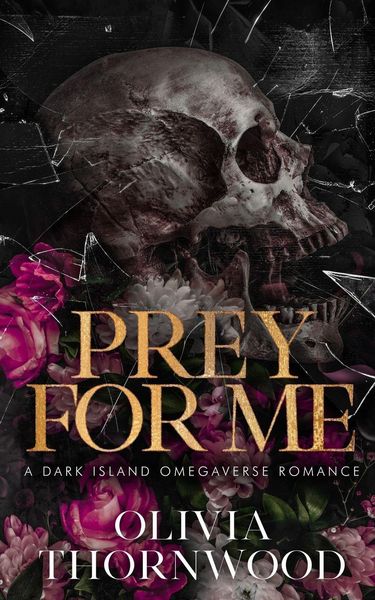 Produktbild: Prey for Me
