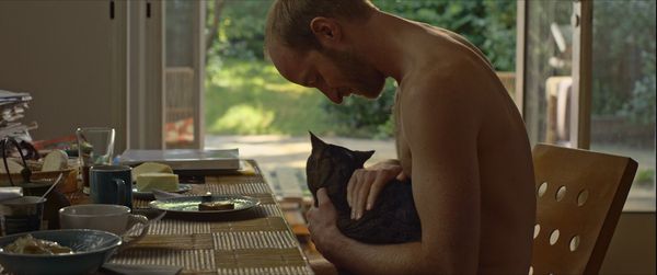 Produktbild: Kater