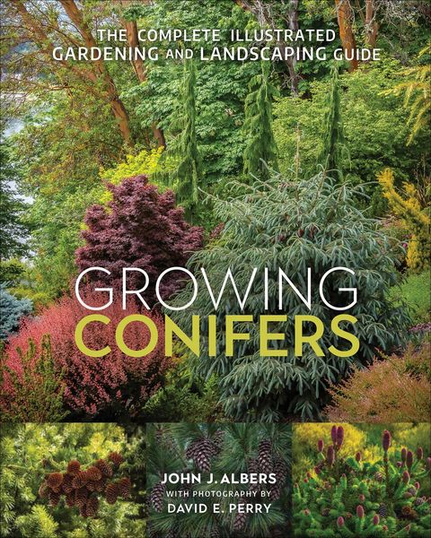 Produktbild: Growing Conifers