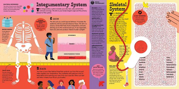 Produktbild: The Interactive Human Body