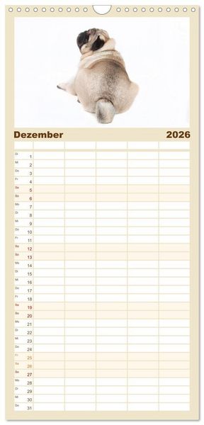Produktbild: Familienplaner 2026 - Mops - unwiderstehlich und charmant mit 5 Spalten (Wandkalender, 21 x 45 cm) CALVENDO