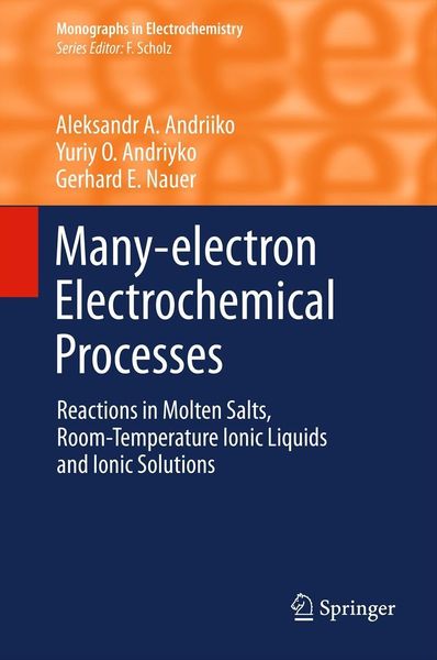 Produktbild: Many-electron Electrochemical Processes