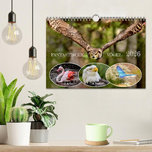 Produktbild: Fantastische V&ouml;gel (Wandkalender 2026 DIN A4 quer), CALVENDO Monatskalender