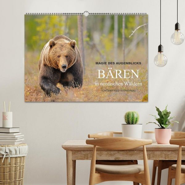 Produktbild: Magie des Augenblicks - B&auml;ren in nordischen W&auml;ldern (Wandkalender 2027 DIN A2 quer), CALVENDO Monatskalender