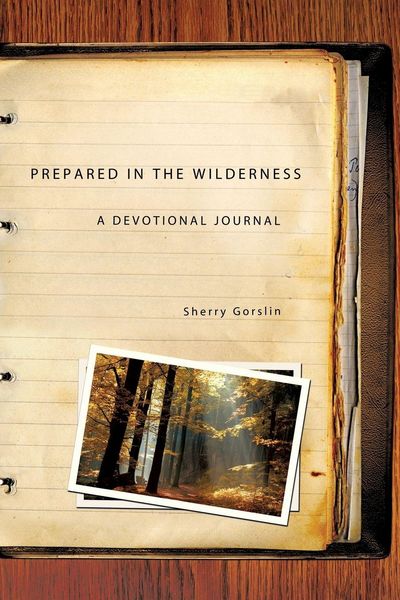 Produktbild: Prepared in the Wilderness