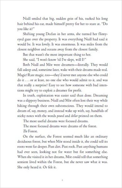 Produktbild: The Dreamer Trilogy 3.Greywaren