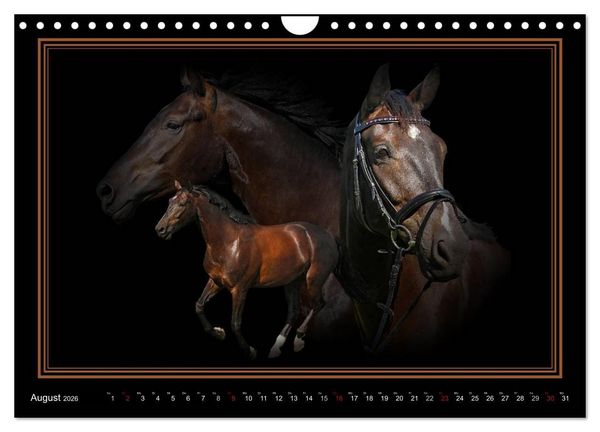 Produktbild: Traumpferde-ART-Collection (Wandkalender 2026 DIN A4 quer), CALVENDO Monatskalender