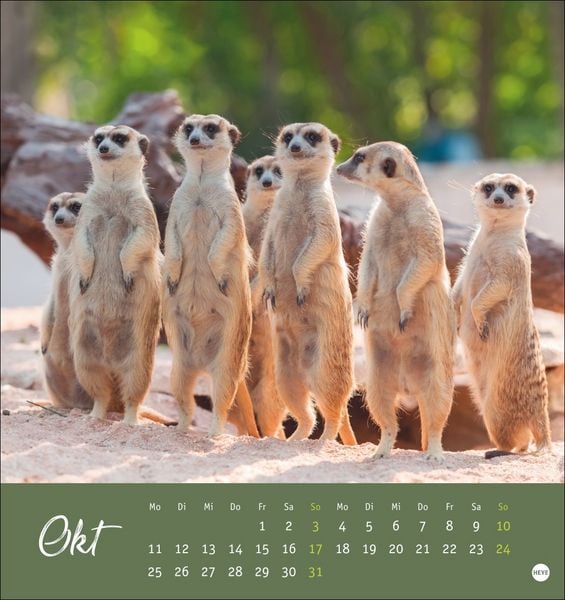 Produktbild: Erdm&auml;nnchen Postkartenkalender 2027
