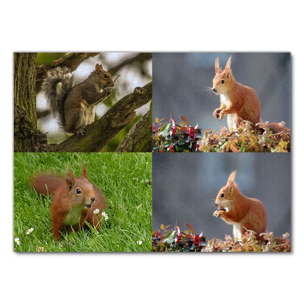 Produktbild: Lais Puzzle Collage Eichh&ouml;rnchen 1000 Teile