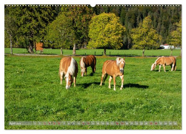 Produktbild: Achensee - im Herzen der Tiroler Alpen (Wandkalender 2026 DIN A2 quer), CALVENDO Monatskalender