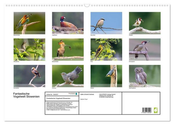Produktbild: Fantastische Vogelwelt Slowenien (Wandkalender 2026 DIN A2 quer), CALVENDO Monatskalender