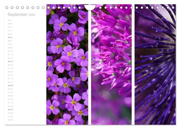 Produktbild: Natural Trios (Wall Calendar 2026 DIN A4 landscape), CALVENDO 12 Month Wall Calendar