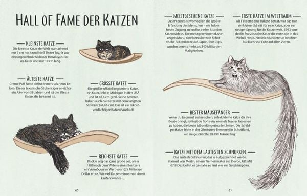 Eine Katze - thematische Zusammenarbeit zwischen er Louis Vuitton