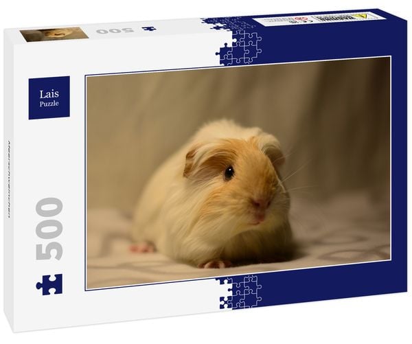 Produktbild: Lais Puzzle Meerschweinchen 500 Teile