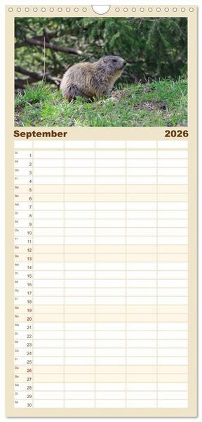 Produktbild: Familienplaner 2026 - Alpen Blick mit 5 Spalten (Wandkalender, 21 x 45 cm) CALVENDO