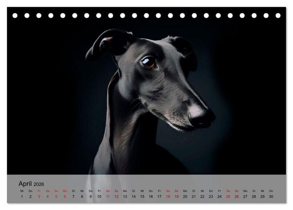 Produktbild: Black is beautiful (Tischkalender 2026 DIN A5 quer), CALVENDO Monatskalender