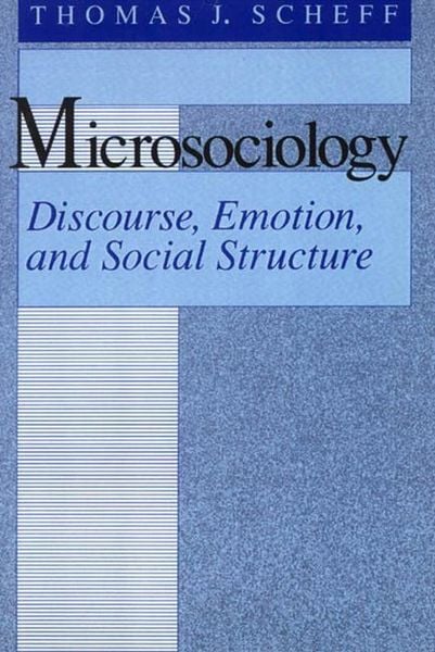 Produktbild: Microsociology