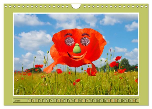 Produktbild: L&auml;cheln in Landschaften (Wandkalender 2026 DIN A4 quer), CALVENDO Monatskalender