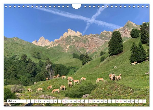 Produktbild: Seiser Alm Sommer (Wandkalender 2026 DIN A4 quer), CALVENDO Monatskalender