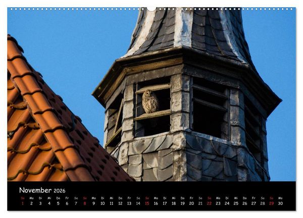 Produktbild: Altes Dorf Westerholt (Wandkalender 2026 DIN A2 quer), CALVENDO Monatskalender