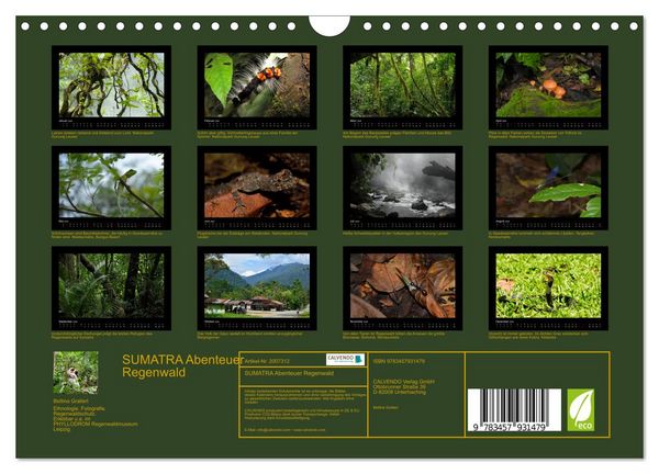 Produktbild: SUMATRA Abenteuer Regenwald (Wandkalender 2026 DIN A4 quer), CALVENDO Monatskalender
