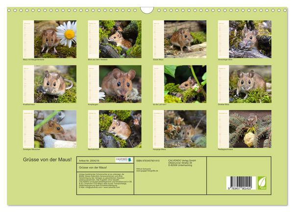 Produktbild: Gr&uuml;sse von der Maus! (Wandkalender 2026 DIN A3 quer), CALVENDO Monatskalender