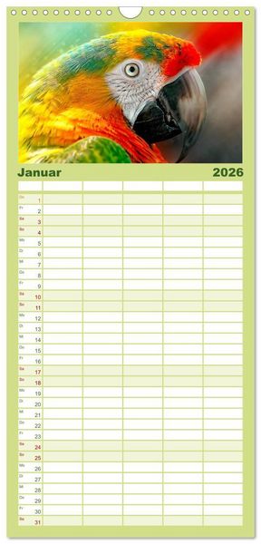 Produktbild: Familienplaner 2026 - Mein bunter Papagei mit 5 Spalten (Wandkalender, 21 x 45 cm) CALVENDO